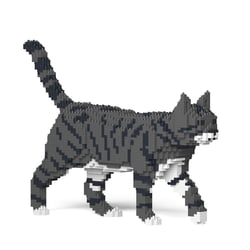 Chat Tigré gris foncé | JEKCA | 14 ans et +
