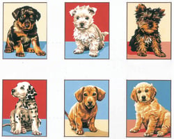 Kit Série Chiots 20x25 6 modèles