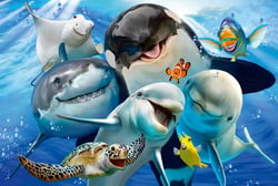 Puzzle 200 pièces - Amis Marins - Schmidt Spiele