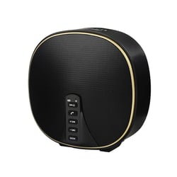 Enceinte Bluetooth Portable 10W Stéréo 32Go TWS Basses Profondes Outdoor Or YONIS