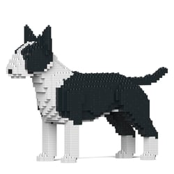 Chien Bull Terrier noir Taille standard | JEKCA | 14 ans et +