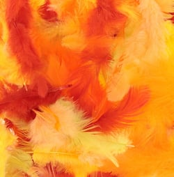 Plumes colorées 10 gr orange - Artemio