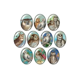 10 cabochons ovale en verre assorties 18 x 25 mm HIBOUX