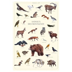 Longue vue editions - Animaux des montagnes - Affiche 40 x 60 cm