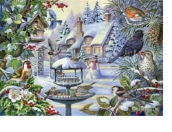 Puzzle 500 pièces - Pièces XXL - Winter Birds - HOP - House of Puzzles