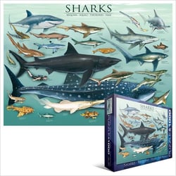 Puzzle 1000 pièces - Requins - Eurographics