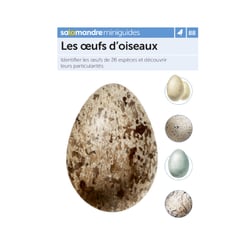 Miniguide 88 - Les œufs d'oiseaux
