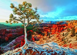 Puzzle 1000 pièces - Lever de Soleil Hivernal - Eurographics