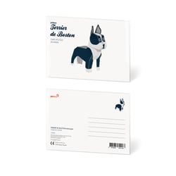 CARTE POSTALE BOSTON TERRIER