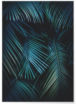 Poster Feuilles de palmier tropical verte | A3 : 29,7x42cm