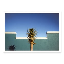 Affiche 50x70 cm - the desert blooms - Linda Wride