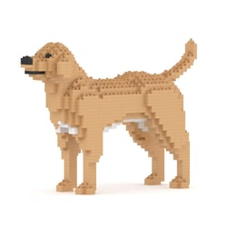 Chien Labrador Retriever beige Taille standard | JEKCA | 14 ans et +