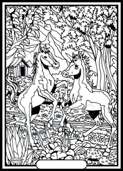 Tableau velours a colorier Deux Poulains Sericolor