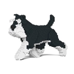Chien Schnauzer Moyen qui marche noir et blanc Taille standard | JEKCA | 14 ans et +