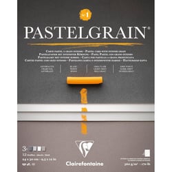 Bloc - Pour pastel - Grain intense - 24x30cm - 360g - Teintes grises - Clairefontaine - Pastelgrain n°1