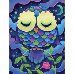 Kit diamond painting Midnight owl 30 x 40 cm