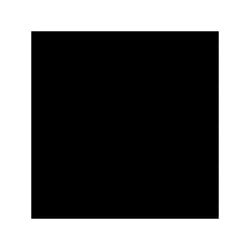 Lot de 2 sprays de peinture - noire brillant - AMT