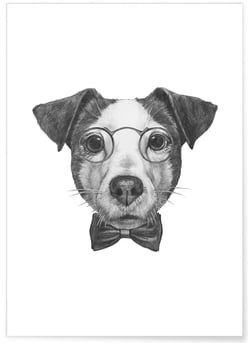 Poster Jack Russell | A3 : 29,7x42cm
