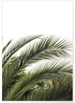 Poster Nature verte n°3 | A3 : 29,7x42cm