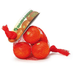 Filet de mandarines - Erzi