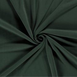 Tissu Polaire des Alpes uni Vert foncé