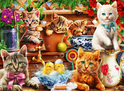 Puzzle 3000 pièces - Kittens in the Potting Shed - Bluebird Puzzle