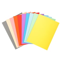 Paquet de 100 chemises Forever® 220 100% recyclé - 24x32cm - Couleurs assorties - x 5 - Exacompta