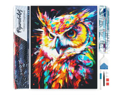 Diamond Painting Broderie Diamant Figured’Art 40x50cm toile entière roulée avec diamants carrés - Hibou Coloré Abstrait