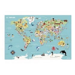 Carte du monde magnetique