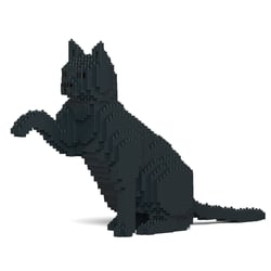 Chat noir qui donne la patte | JEKCA | 14 ans et +