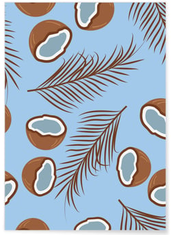 Affiche Noix de coco | A3 : 29,7x42cm