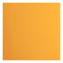 Papier cartonné - Florence - 20 feuilles - Grapefruit - 30,5 x 30,5 cm - 216 g/m²