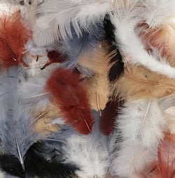 Plumes colorées 10 gr brun - Artemio
