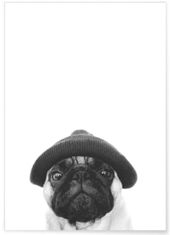 Affiche Carlin noir et blanc | A3 : 29,7x42cm