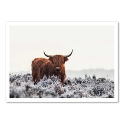 Affiche 50x70 cm -Art-Poster  -  Highlander - Jaap van den