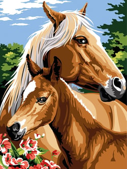 Canevas SEG Canevas Mon Poulain 40x50 cm