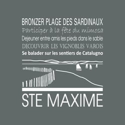 Tableau sur toile Sainte-Maxime gris 30x30 cm