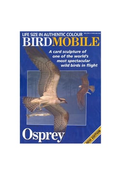 Birdmobile Balbuzard pêcheur