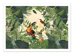 Affiche 50 x 70 cm -  Tropical Jungle Toucan - Andrea Haase