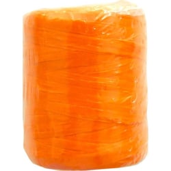 Graine Créative - Raphia synthétique Orange 40 g
