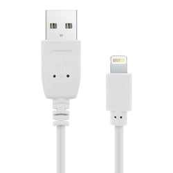 Avizar Câble USB vers iPhone iPad iPod Charge & Synchro Quick Charge 2.0 1,2m Blanc