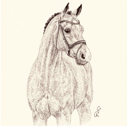 Lot de 4 serviettes en papier découpage collage 33 cm CHEVAL A 3024