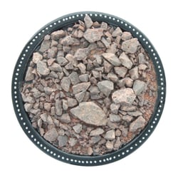 Encens résine en morceaux Dragon 50 g - Omsaé