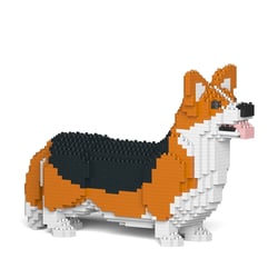 Chien Welsh Corgi roux et noir Taille standard | JEKCA | 14 ans et +