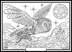 Tableau velours a colorier CHOUETTE  GREGORY Sericolor