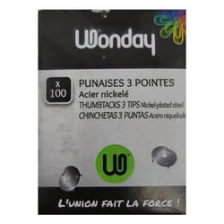 Boite de 100 Punaises 3 Pointes Acier Nickelé