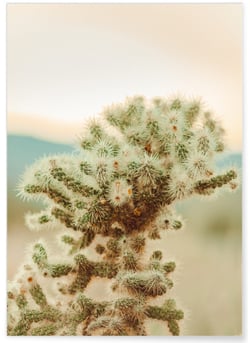 Affiche Nature Desert 2 | A3 : 29,7x42cm