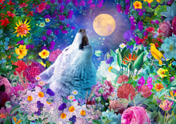 La Nuit du Loup