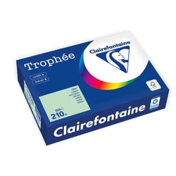 Ramette de papier FSC CLAIREFONTAINE - 250 feuilles - Vert - A4 - 210 g/m²