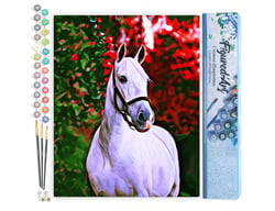 Peinture par Numéro Figured'Art - Cheval et fond coloré - Kit de Loisir Créatif DIY Numéro d'Art Complet - 40x50cm sans châssis en bois